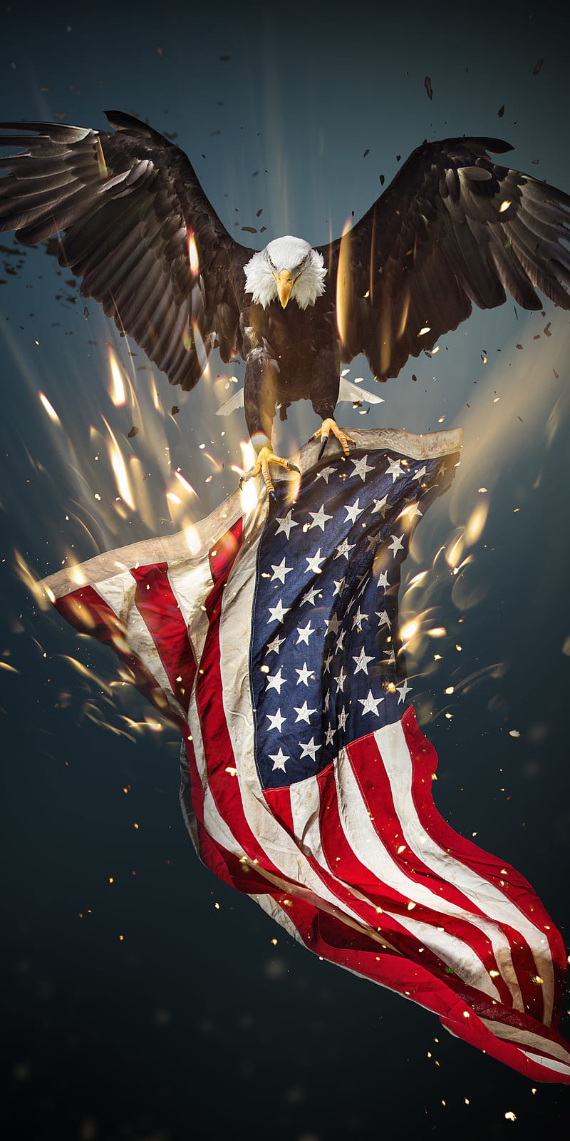 USA Eagle, america, liberty, HD phone wallpaper