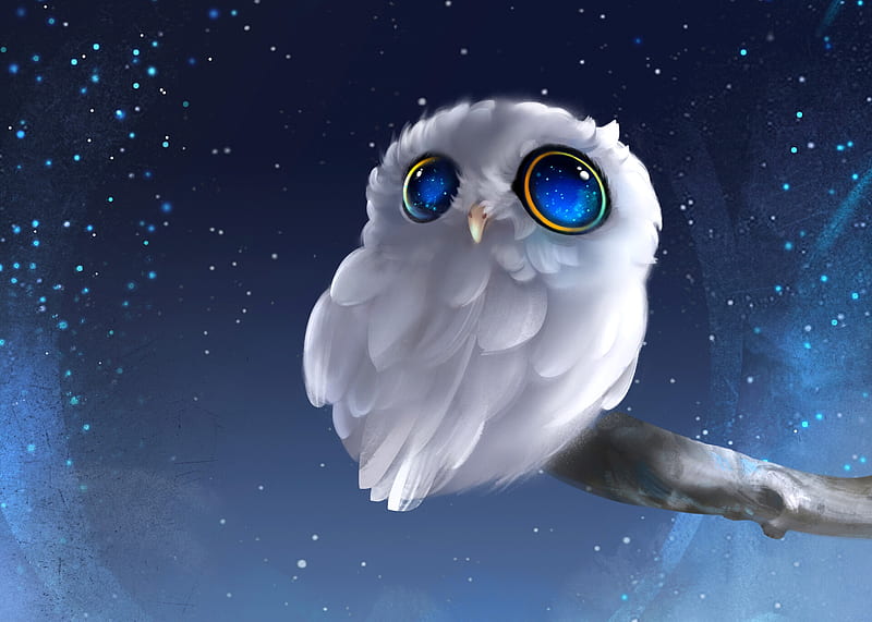 Owl, pasari, zhang junjie, eyes, white, blue, stars, bufnita, fantasy, bird, sly, night, HD wallpaper
