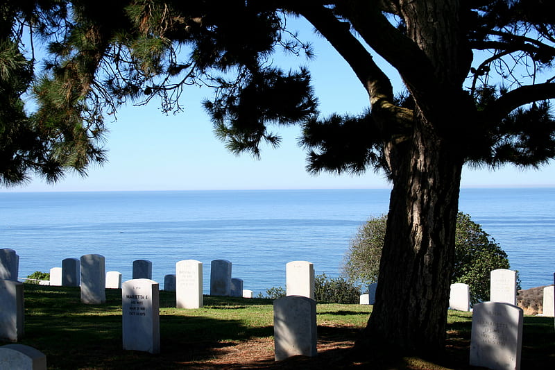 Some Gave All, trees, cemetaries, tombstones, ocean, HD wallpaper