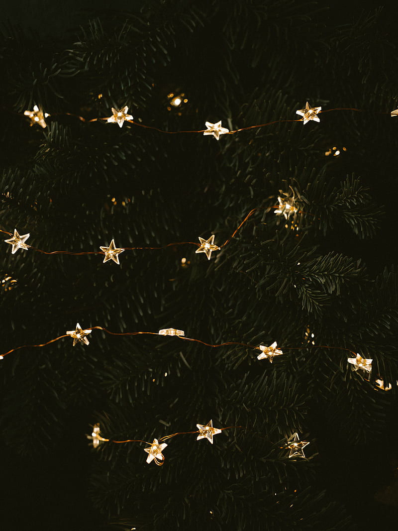 garland, stars, tree, decoration, new year, HD phone wallpaper