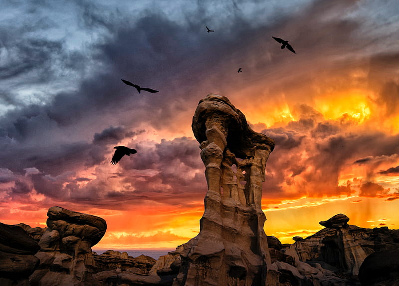 rocks, stone, birds, sunset, clouds, HD wallpaper