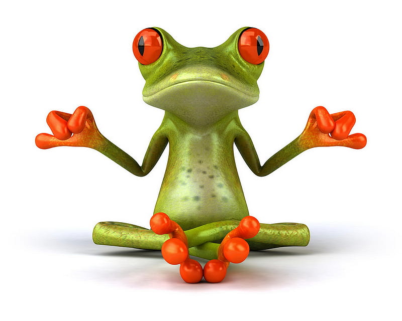 Frog In Yoga, funny, HD wallpaper