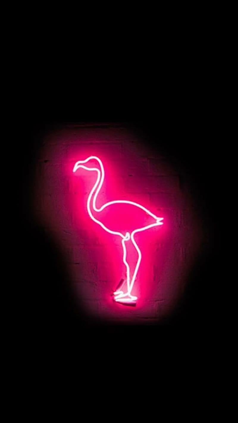 Neon Flamingo, animal, bird, pink, symbol, HD phone wallpaper