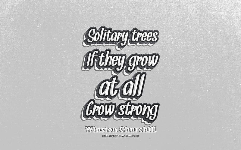 Solitary trees If they grow at all Grow strong, typography, quotes about trees, Winston Churchill quotes, popular quotes, gray retro background, inspiration, Winston Churchill, HD wallpaper
