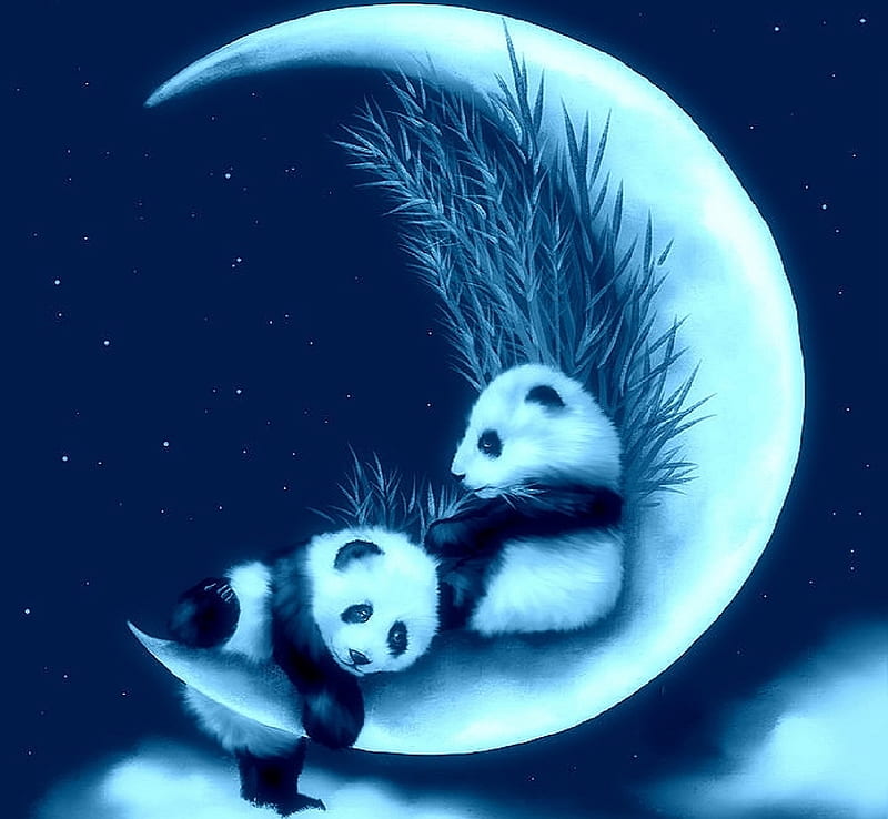 moon, nest, moon, cub, bear, night, luminos, panda, cute, fantasy, HD wallpaper