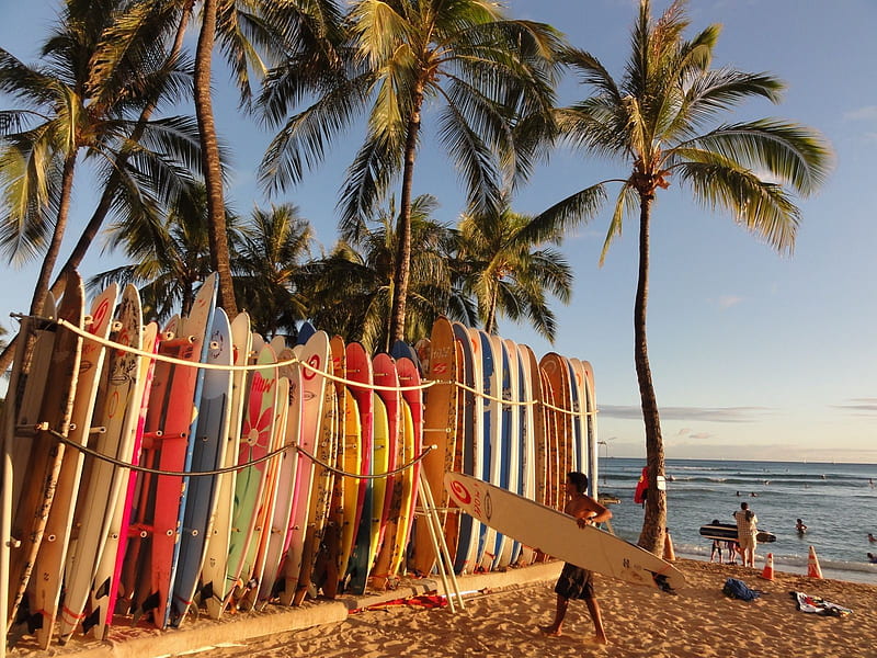 Surfboard Hawaii iPhone, Surfer Aesthetic, HD wallpaper