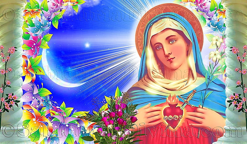 Inmaculate Heart of Mary, christ, jesus, heart, virgin, mary, HD wallpaper