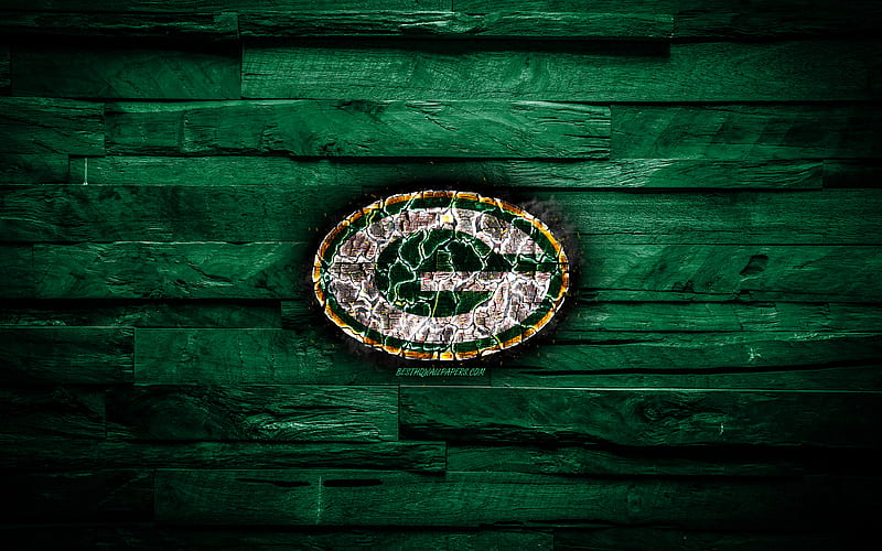 Green Bay Packers scorched logo, NFL, green wooden background, american baseball team, National Football Conference, grunge, baseball, Green Bay Packers logo, fire texture, USA, NFC, HD wallpaper