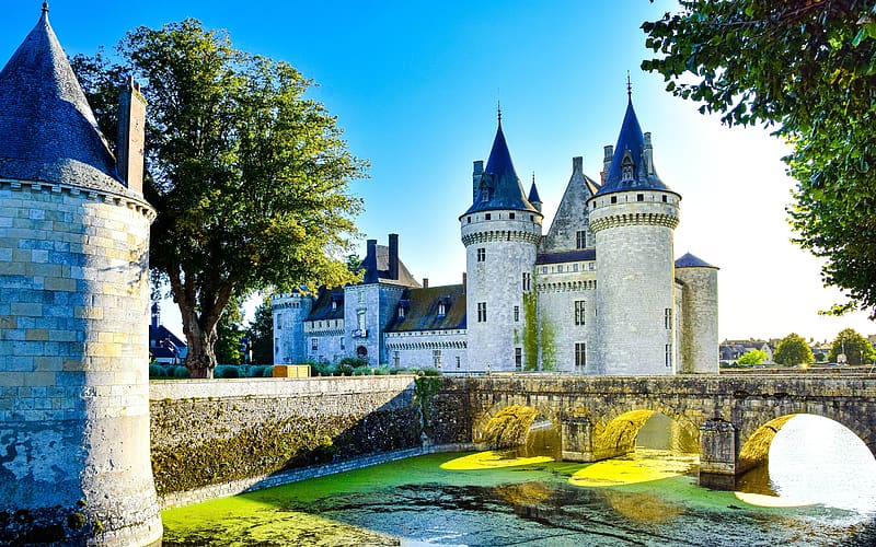 Castle Sunshine Garden Sully sur Loire France, HD wallpaper