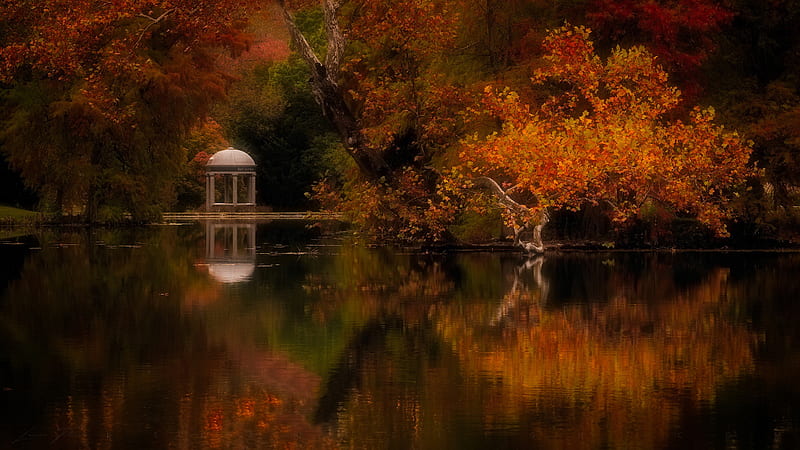 Gazebo Nature Park Pond And Trees During Fall Nature, HD wallpaper