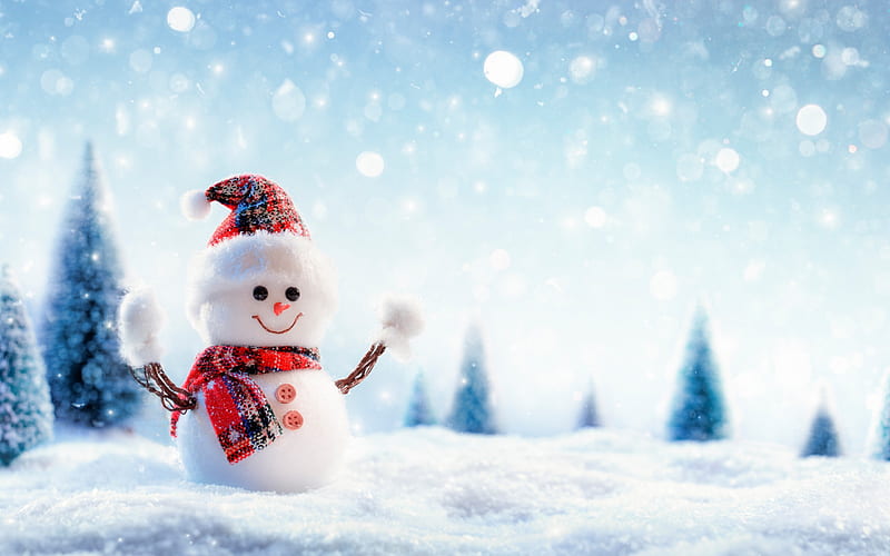 snowman, winter, figurines, snow, winter landscape, HD wallpaper