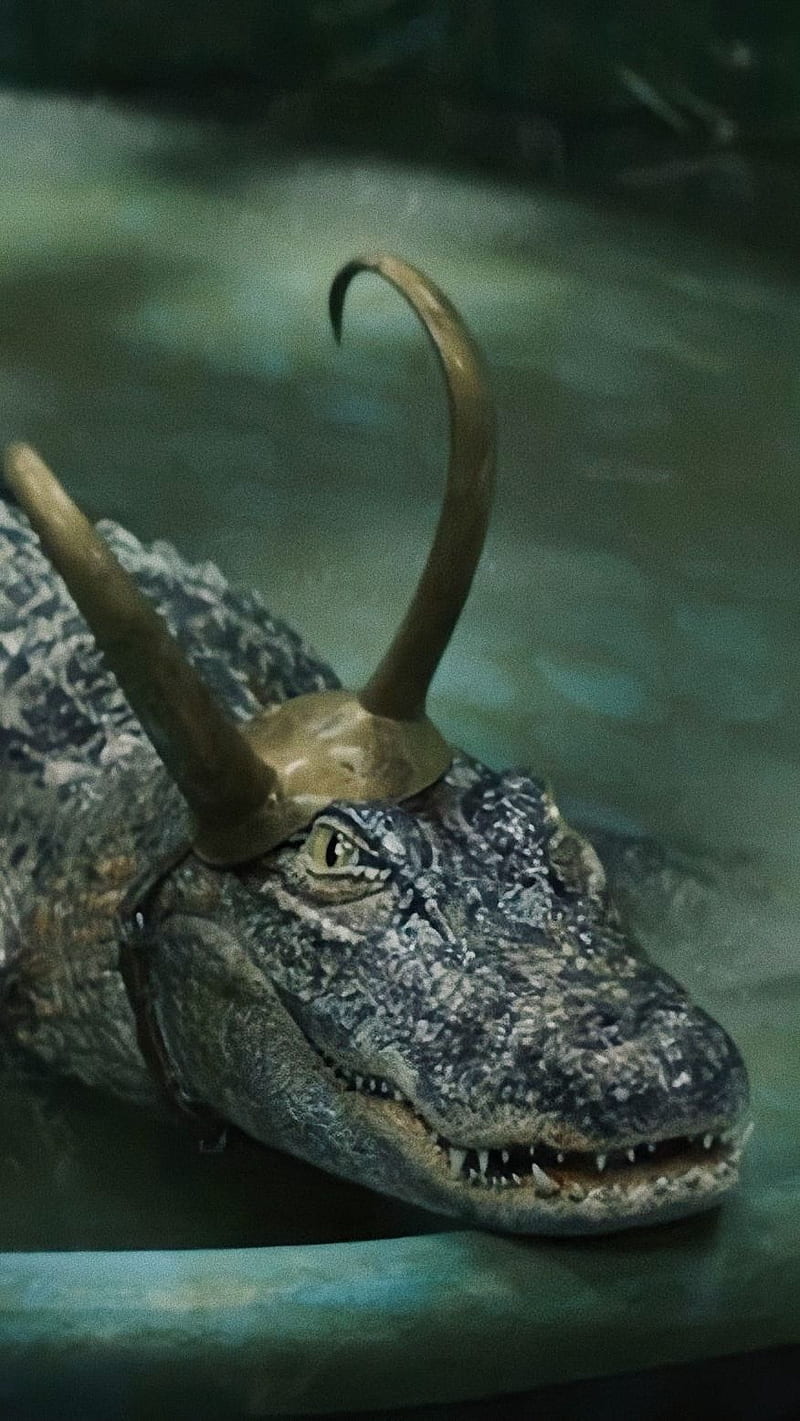 Alligator Loki, godofmischief, marvel, HD phone wallpaper