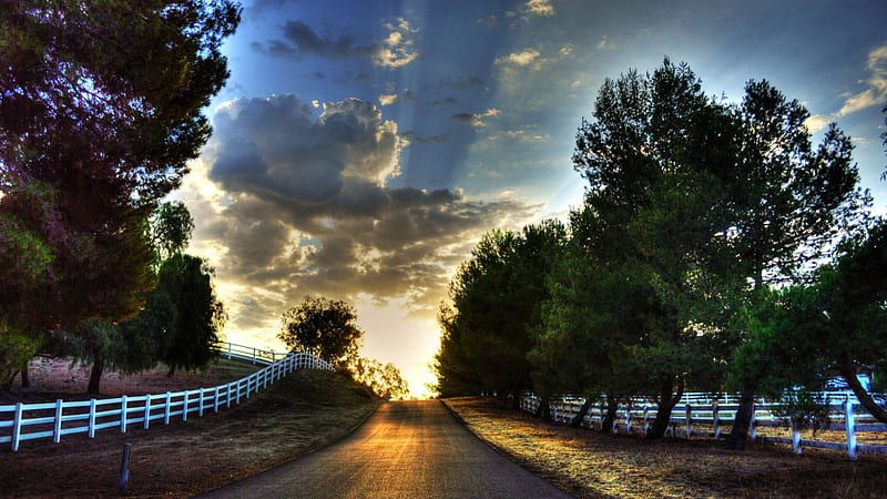 sunrise over a country road, fence, sunbeams, sunrise, road, trees, clods, HD wallpaper