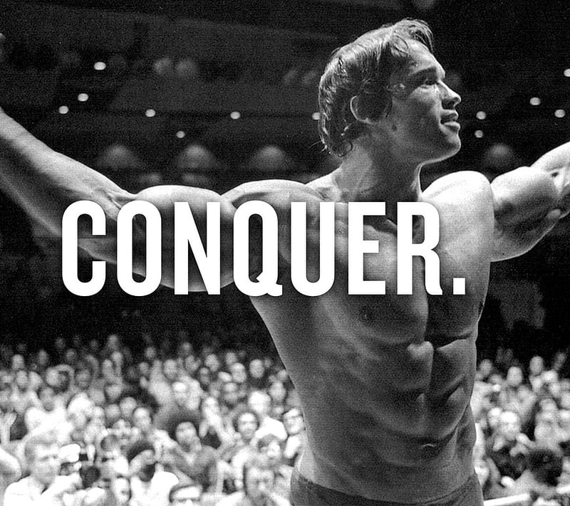 Conquer, arnold, arnold schwarzenegger, bodybuilding, HD wallpaper | Peakpx