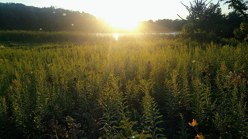 2K free download | Prairie, midwest, nature, sunset, HD wallpaper | Peakpx