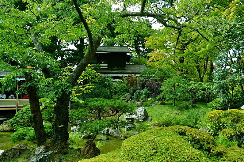 Green garden, forest, nice, green, grass, greeny, plants, garden, trees ...