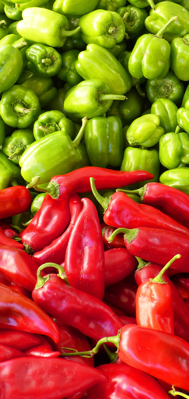 Chili Red and Green, chili, green, red, HD phone wallpaper