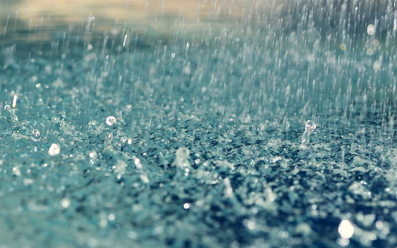 dosch, drops, shower, rain, earth, sliva, HD wallpaper