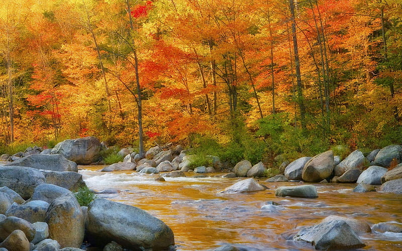 Autumn Sunset Rock Creek, Autumn Stream, HD wallpaper | Peakpx