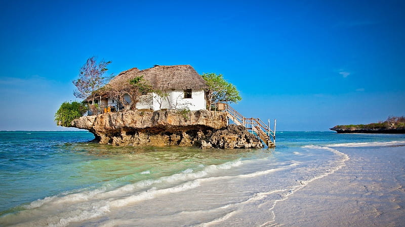 Funny, Tree, House, Stairs, Man Made, Seashore, Zanzibar, Tanzania, HD wallpaper