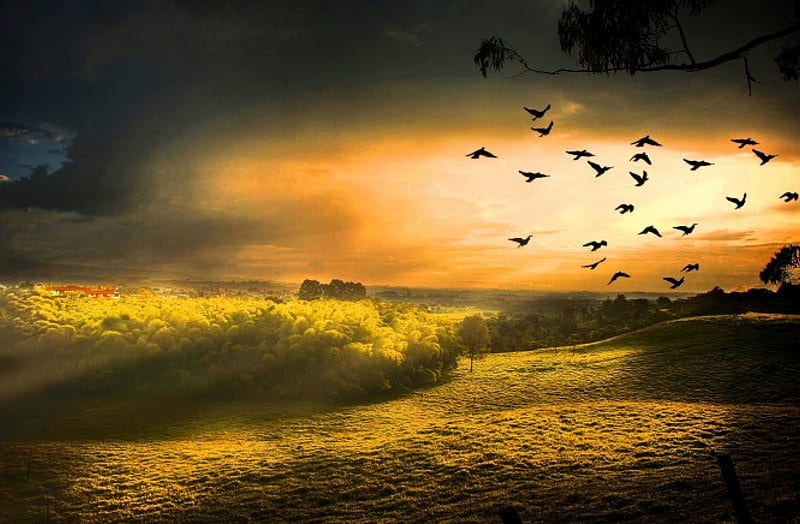 Mystical And Peaceful Landscape, hills, forest, flying birds, grass, houses, bonito, sunset, sky, clouds, valley, magic lights, prairie, HD wallpaper