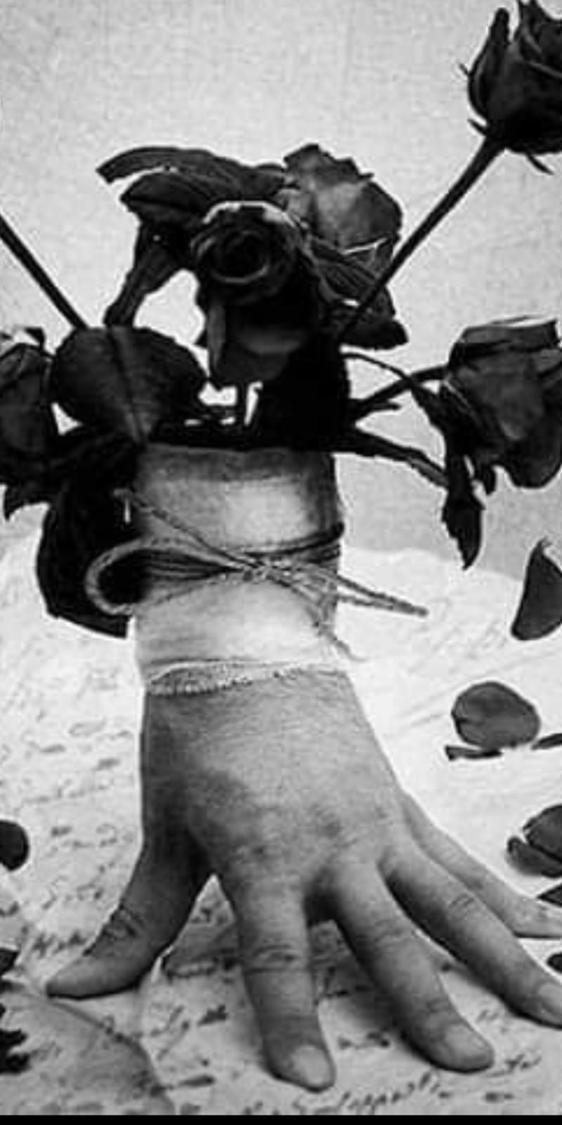 lana del rey black and white rose