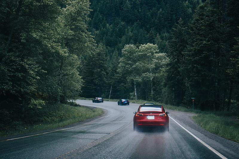 carros, pursuit, road, forest, HD wallpaper
