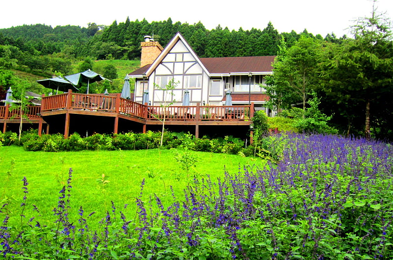 The mountain tourism B & B, mountain, bed and breakfasts, tourism, grass, lavender, HD wallpaper