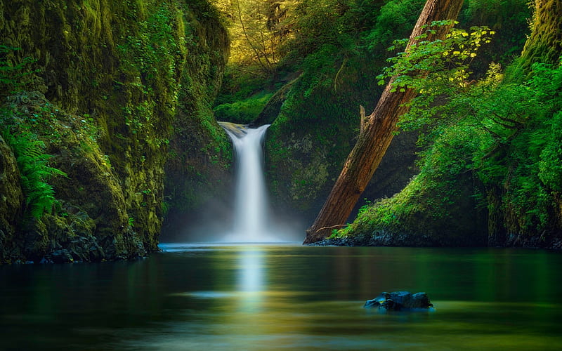 beautiful waterfall, lake, rocks, forest, green leaves, waterfall, USA, HD wallpaper
