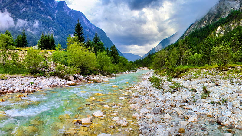 Stones On River Stream Between Green Trees Bushes Forest Background HD  Scenery Wallpapers, HD Wallpapers