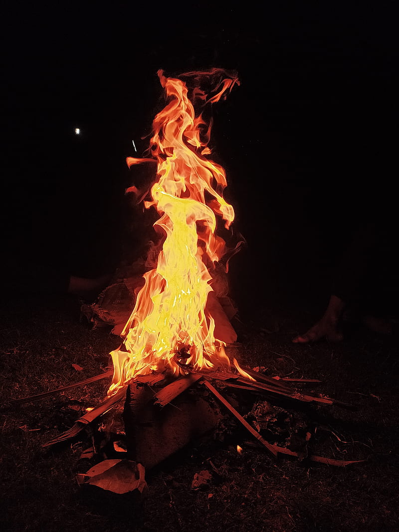 Fire, bonefire, HD phone wallpaper | Peakpx