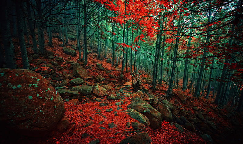 Ethereal Autumn, wooden bridge, forest, autumn, bonito, trees, mountain, leaves, stones, path, HD wallpaper