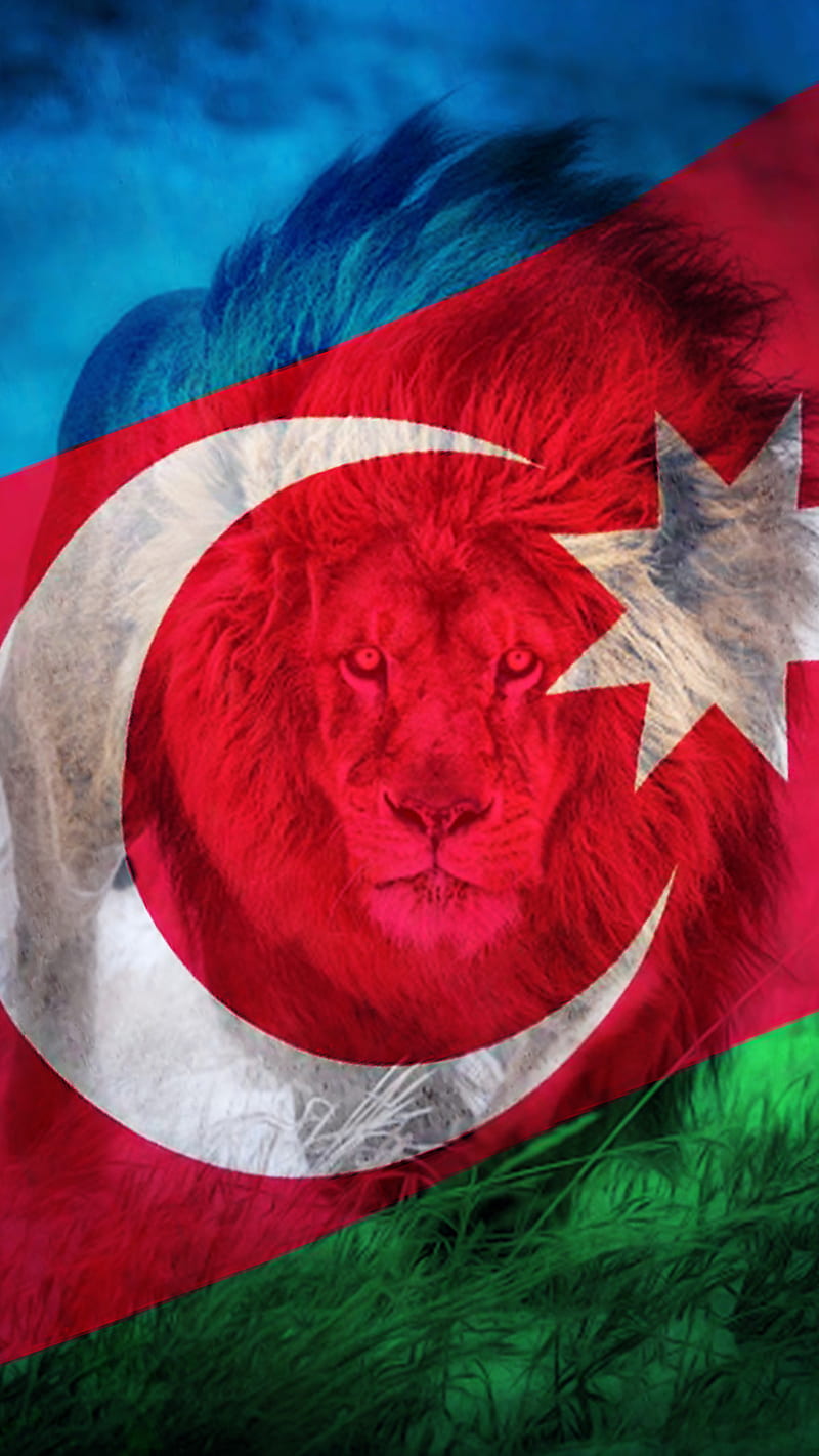 Azerbaijan Flag Lion, aslan, azerbaijan, azerbaycan, baku, flag, bayraq, flag, flags, lion, turk, HD phone wallpaper