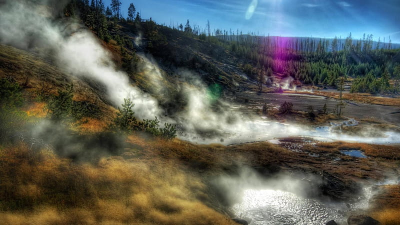 hot springs in yellowstone park, forest, sun rays, steam, hot springs, HD wallpaper