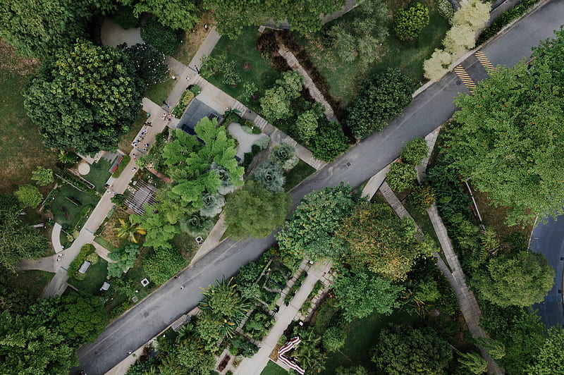 aerial graphy of roadway surrounded by trees, HD wallpaper