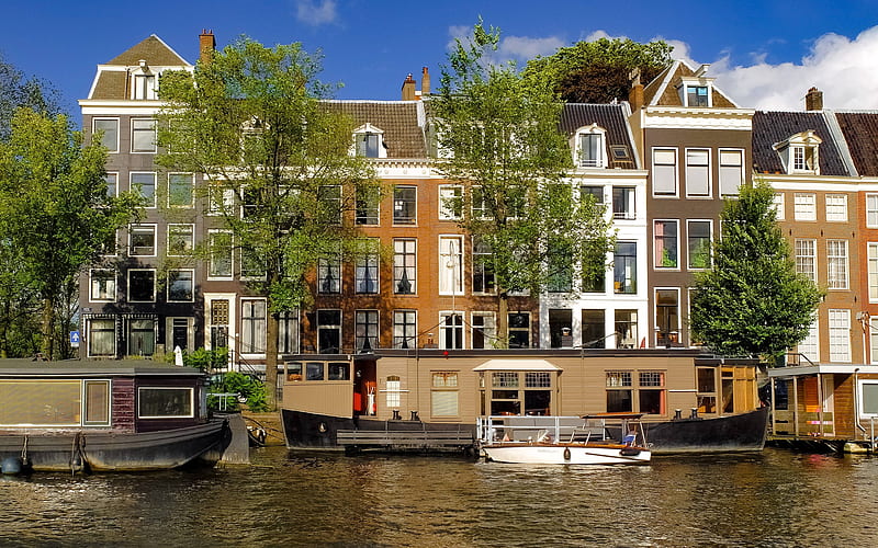 Houseboats in Amsterdam, canal, Netherlands, houseboats, houses, Amsterdam, trees, street, HD wallpaper
