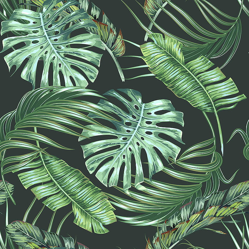 Tropical leaves, monstera, banana leaf, jungle foliage floral seamless pattern, summer background. Vintage botanical exotic illustration . Drawing by Julien. Fine Art America, HD phone wallpaper