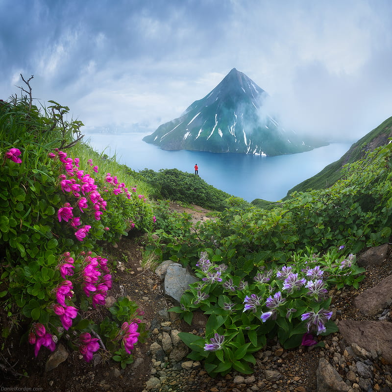 Daniil Korzhonov, landscape, flowers, mountains, outdoors, nature, plants, HD phone wallpaper