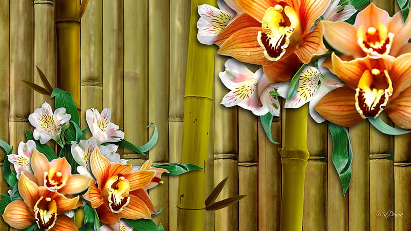 Orchids and Bamboo, sakura, flowers, orange, bamboo, orchids, oriental, blossoms, flowers, blooms, HD wallpaper