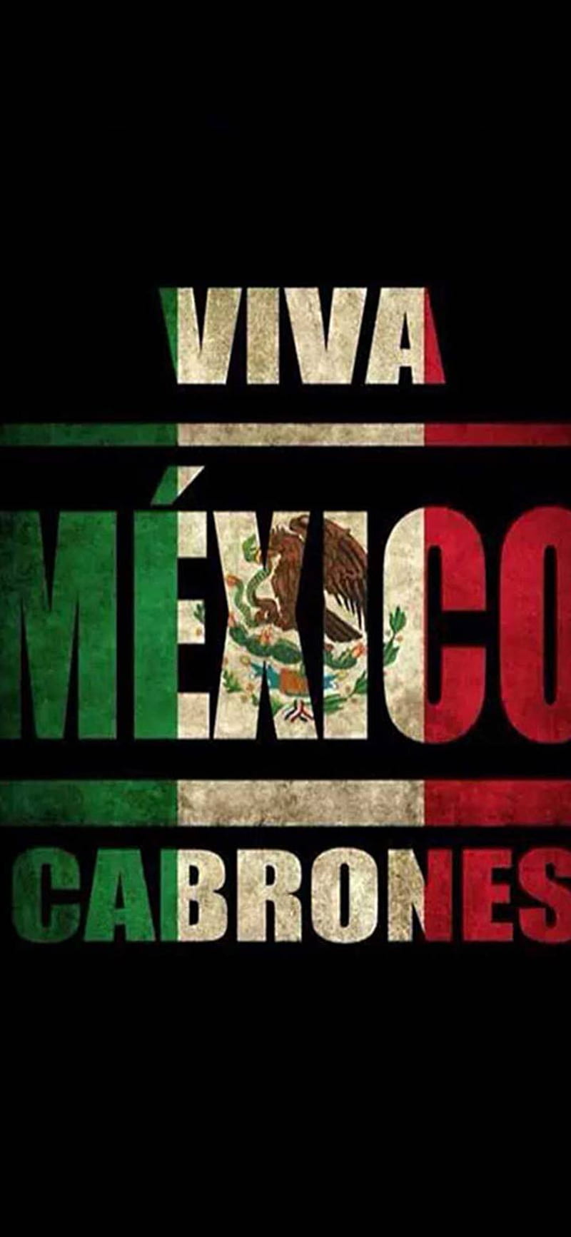 Viva Mexico , logo, reigns, HD phone wallpaper
