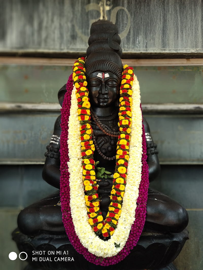 Shiva, flower, garland, god, idle, lord, meditation, HD phone wallpaper