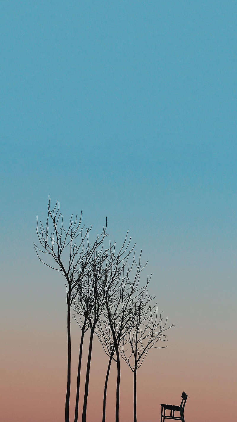 Sunset Scene, blue, gradient shilouette, simple, sky, trees, HD phone wallpaper