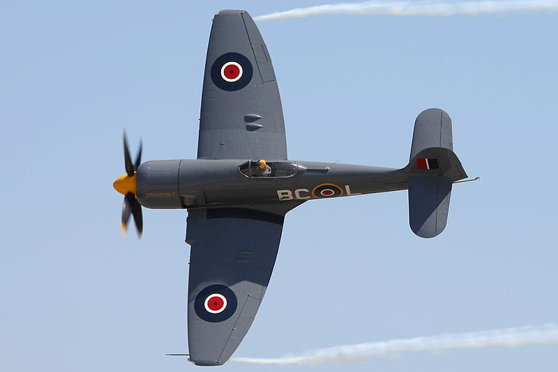 Hawker Sea Fury, royal air force, world war two, raf, hawker aircraft, HD wallpaper