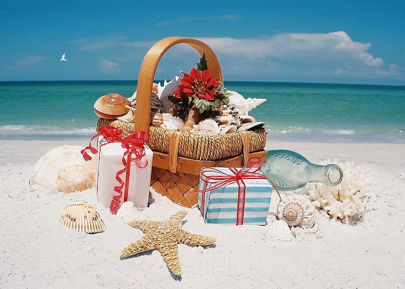 Beach Christmas, basket, digital, gift, sea, starfish, poinsettia, HD wallpaper
