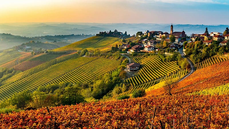 Wine Fields At Langhe, Piemont, Italy, hills, trees, vine, landscape, colors, sunrise, houses, sky, village, HD wallpaper