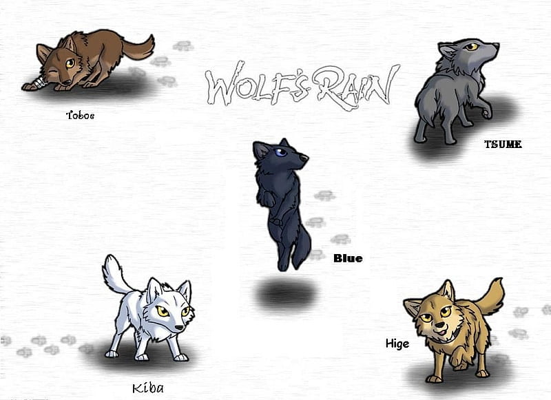 Anime Wolf Pack Fun Wolf Facts - Ranks Of Wolf Packs, HD Png Download ,  Transparent Png Image - PNGitem