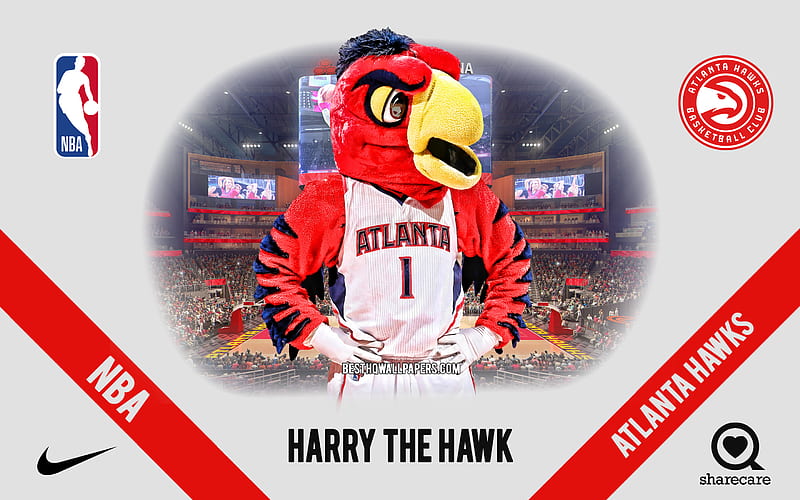 Harry the Hawk, Atlanta Hawks mascot, NBA, portrait, USA, Atlanta Hawks, basketball, State Farm Arena, Atlanta Hawks logo, HD wallpaper