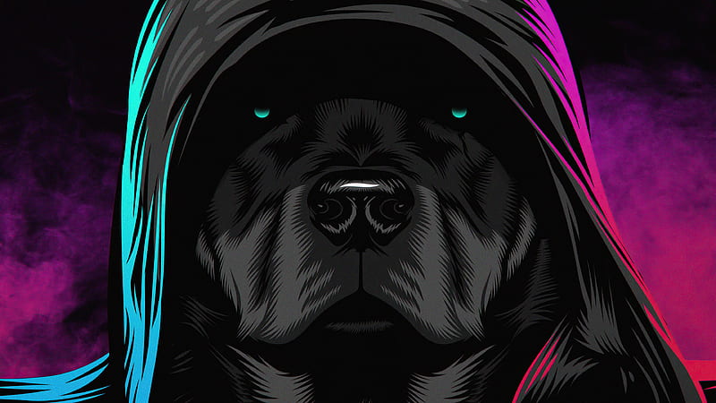 Black Dog Glowing Eyes, dog, artist, artwork, digital-art, dark, black, HD  wallpaper | Peakpx
