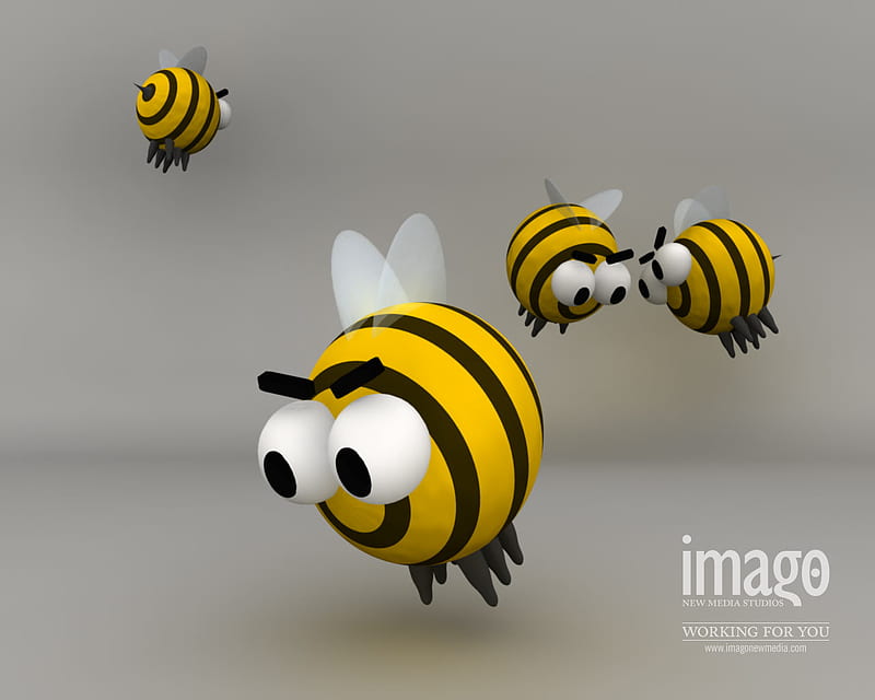Working-For-U, bumble bee, bumblebees, bumble bees, worker bees, bees, bee, worker bee, bumblebee, smoothsqu4d, HD wallpaper