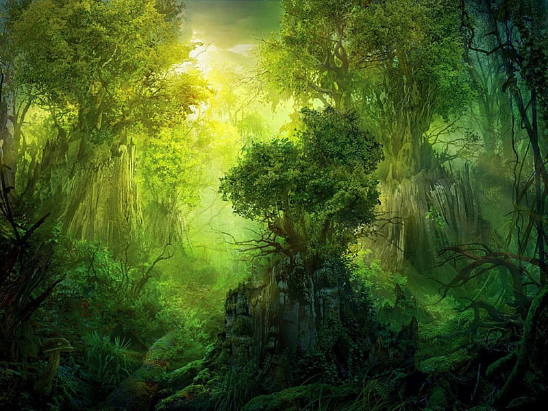 Green splendor, growth, forest, green, beauty, light, HD wallpaper